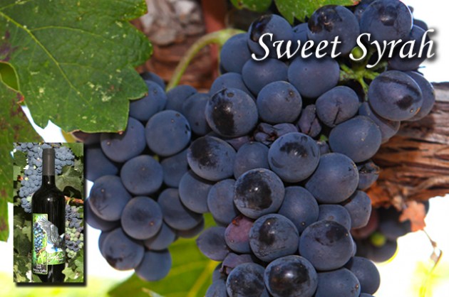 Sweet Syrah